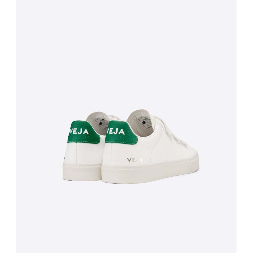 Men's Veja RECIFE CHROMEFREE Shoes White/Green | SG 199CTV